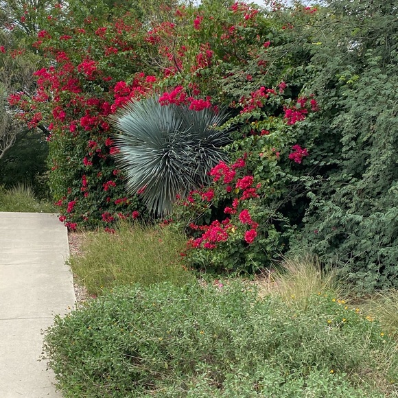 Meet your Posher, LC - Picture 13 of 14